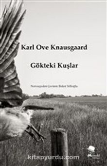 Gökteki Kuşlar - Karl Ove Knausgaard