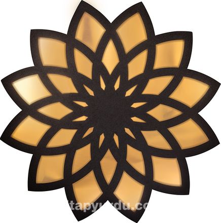 Full Frame Duvar Sanatları - Pleksi Altın Ayna - Lotus Çiçeği (FF-DS249)