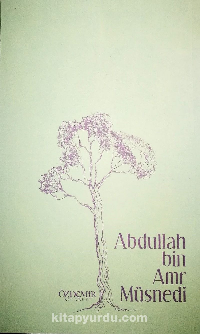 Abdullah bin Amr Müsnedi