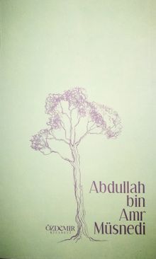 Abdullah bin Amr Müsnedi