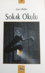 Sokak Okulu