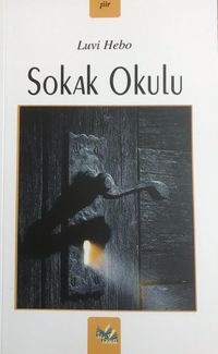Sokak Okulu
