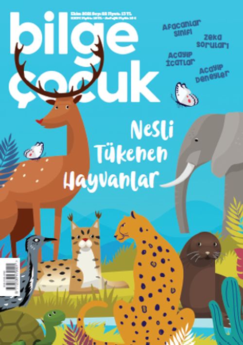 Bilge Çocuk Dergisi Sayı:62 Ekim 2021