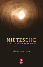 Nietzsche & Perspektivizm, Anlam ve Yorum