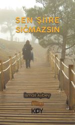 Sen Şiire Sığmazsın