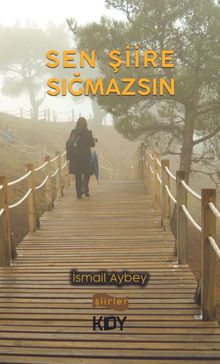 Sen Şiire Sığmazsın