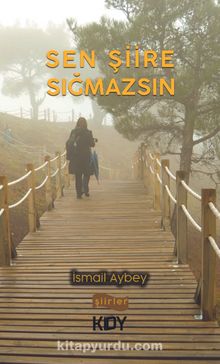 Sen Şiire Sığmazsın - İsmail Aybey
