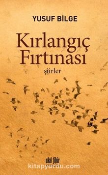 Kırlangıç Fırtınası - Yusuf Bilge