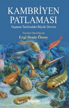 Kambriyen Patlaması - Ergi Deniz Özsoy