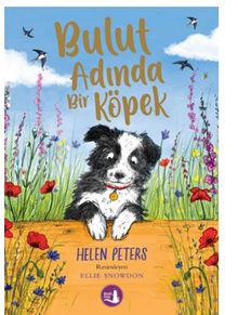 Bulut Adında Bir Köpek