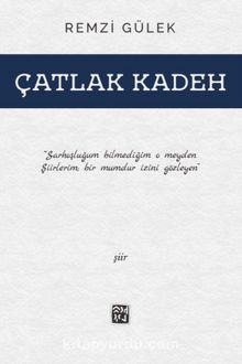 Çatlak Kadeh - Remzi Gülek