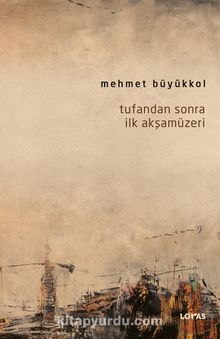 Tufandan Sonra İlk Akşamüzeri - Mehmet Büyükkol