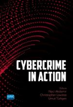 Cybercrime in Action an International Approach to Cybercrime