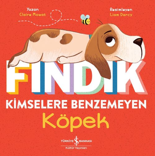 Fındık & Kimselere Benzemeyen Köpek