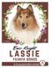 Lassie - Yuvaya Dönüş