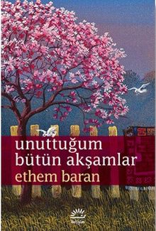 Unuttuğum Bütün Akşamlar