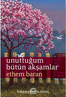 Unuttuğum Bütün Akşamlar - Ethem Baran