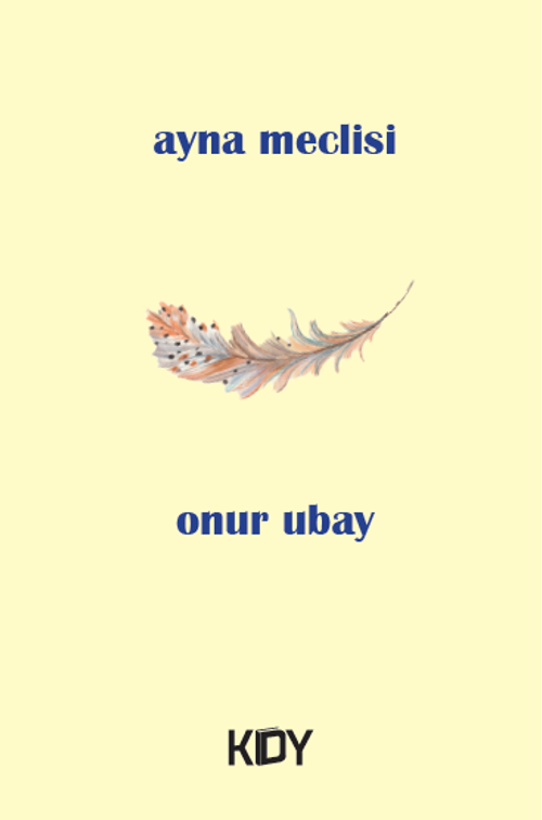 Ayna Meclisi