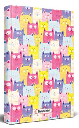 Renkli Kulaklar - Planlama Defteri