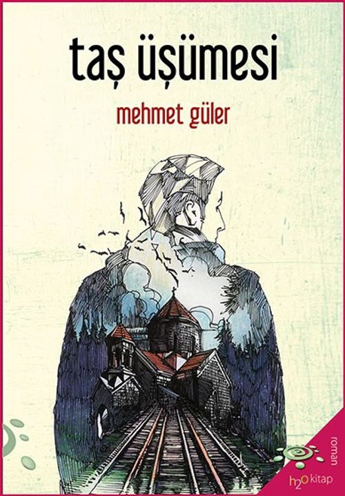 Taş Üşümesi