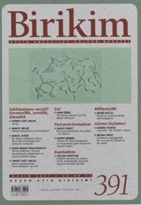 Birikim Aylık Sosyalist Kültür Dergisi Sayı: 391 Kasım 2021