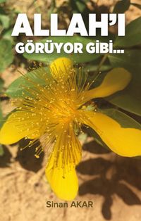 Allah'ı Görüyor Gibi…