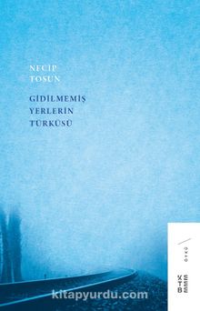 Gidilmemiş Yerlerin Türküsü - Necip Tosun