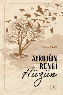 Ayrılığın Rengi Hüzün