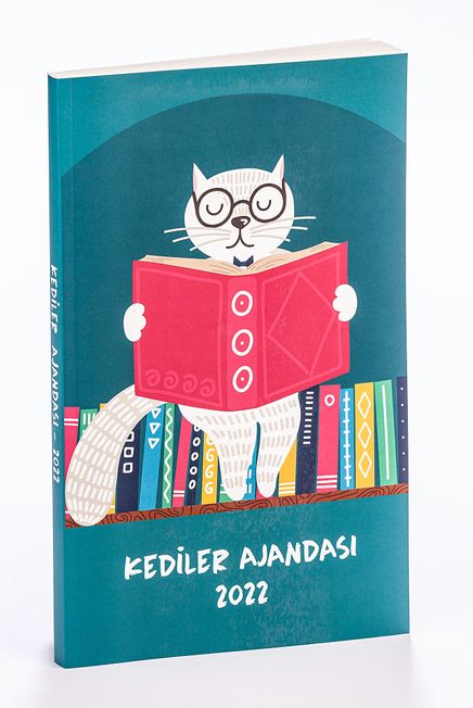 2022 Kediler Ajandası (Büyük Boy)