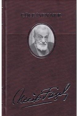 Çöle İnen Nur (Deri Cilt)