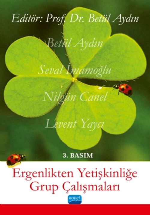 Ergenlikten Yetişkinliğe Grup Çalışmaları