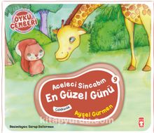 Aceleci Sincabın En Güzel Günü / Öykü Çemberi 9 - Aysel Gürmen