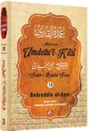 Umdetu'l-Kari (10. Cilt)