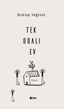 Tek Odalı Ev