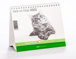 2022 Kitapyurdu Masa Takvimi (Kediler)