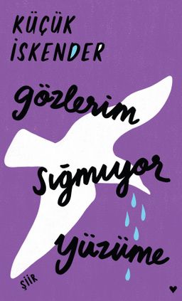 Gözlerim Sığmıyor Yüzüme (Ciltli Baskı)