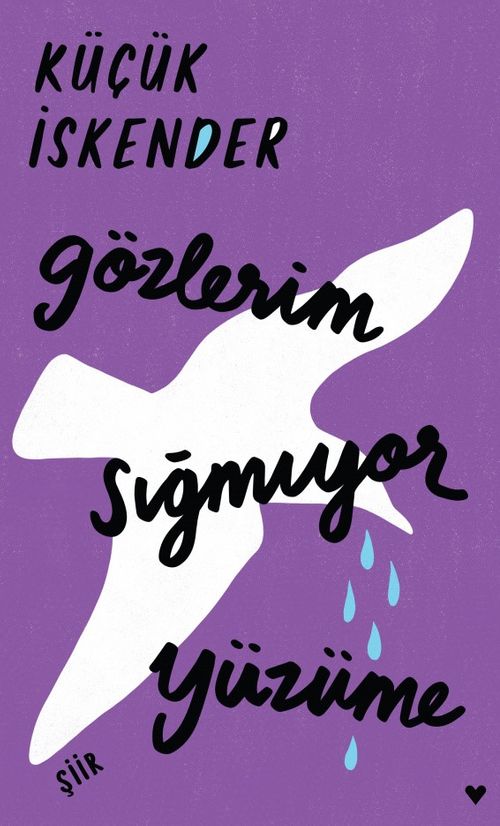 Gözlerim Sığmıyor Yüzüme (Ciltli Baskı)