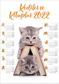 2022 Takvimli Poster - Kediler ve Kitaplar - Kitap Ev