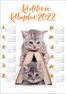 2022 Takvimli Poster - Kediler ve Kitaplar - Kitap Ev