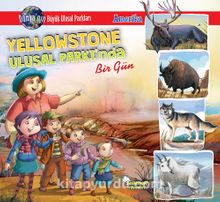 Yellowstone Ulusal Parkı’nda Bir Gün - Manpreet Kaur Aden