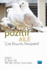 Pozitif Aile & Çok Boyutlu Perspektif