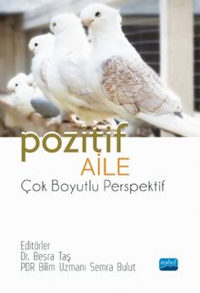 Pozitif Aile & Çok Boyutlu Perspektif - Kolektif