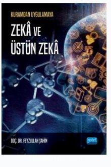 Kuramdan Uygulamaya Zeka ve Üstün Zeka - Feyzullah Şahin