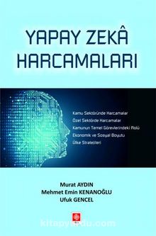 Yapay Zeka Harcamaları - Murat Aydın