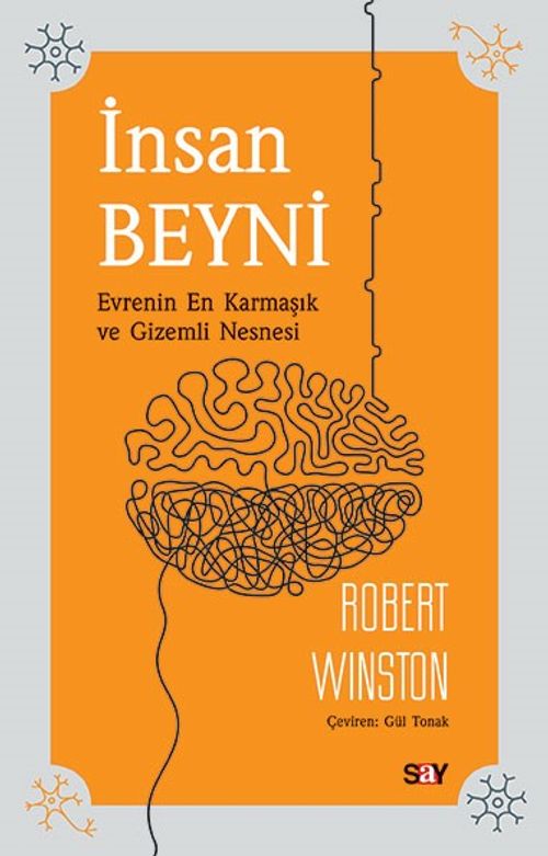 İnsan Beyni & Evrenin En Karmaşık ve Gizemli Nesnesi