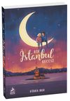 Bir İstanbul Gecesi (Karton Kapak)