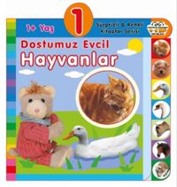 1+ Yaş Dostumuz Evcil Hayvanlar