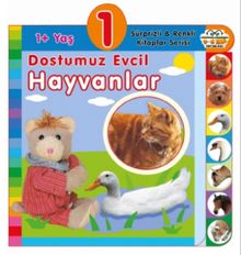 1+ Yaş Dostumuz Evcil Hayvanlar