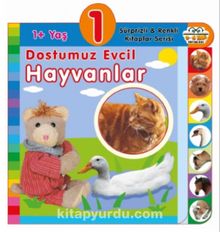 1+ Yaş Dostumuz Evcil Hayvanlar - Kolektif
