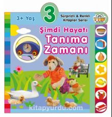 3+ Yaş Şimdi Hayatı Tanıma Zamanı - Kolektif